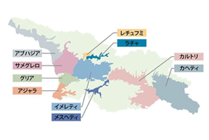 ジョージアワインの産地図